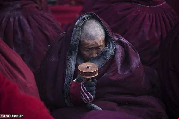 هزاران بودایی در جستجوی روشنایی