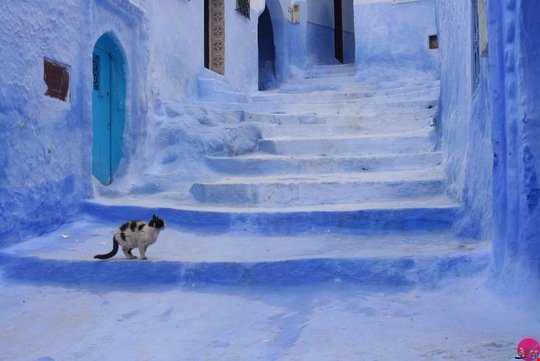 «شهر آبی» حیرت انگیز مراکش با معماری اسپانیایی