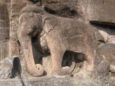 غار فیل ها