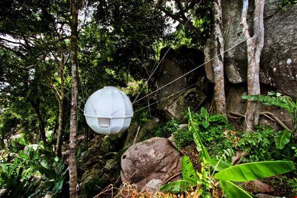 پیله درختی مکانی امن برای اقامت گردشگران در جنگل !