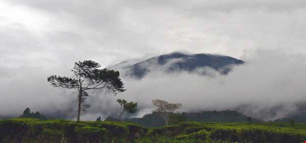 پارک ملی ‏Gunung Gede Pangrango‏