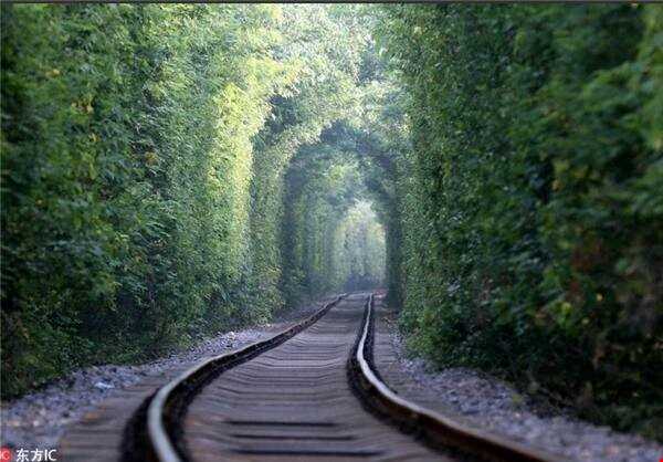 تونل سبز در چین