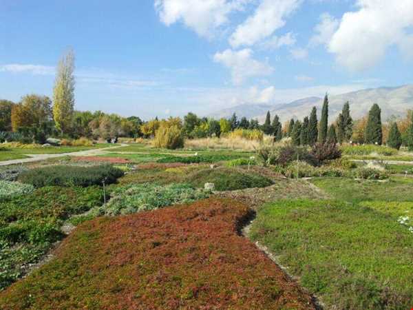 از باغ گیاهشناسی تهران در پاییز دیدن کنید