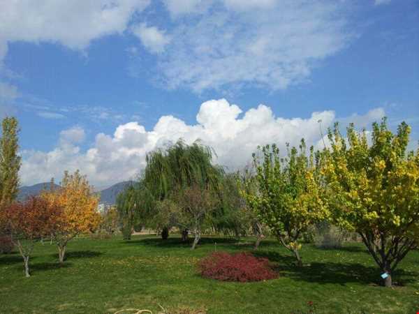 از باغ گیاهشناسی تهران در پاییز دیدن کنید