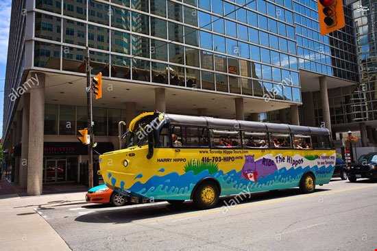 اتوبوس‌های دوزیست تورنتو!