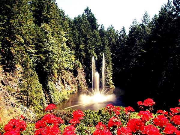 باغ‌های بوچارت کانادا یکی از زیباترین باغ‌های جهان