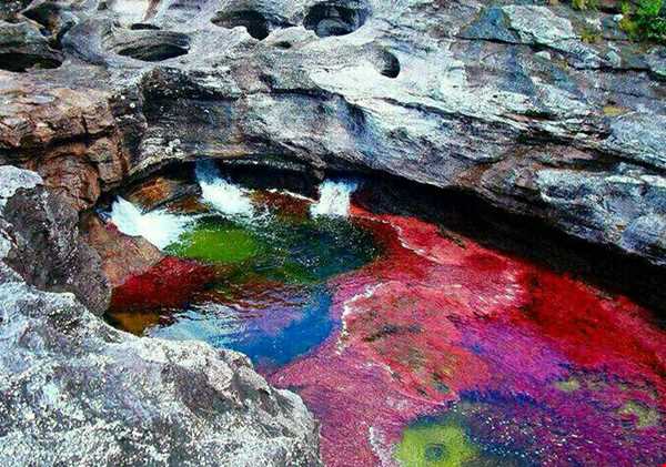 زیباترین رودخانه جهان در پنج رنگ