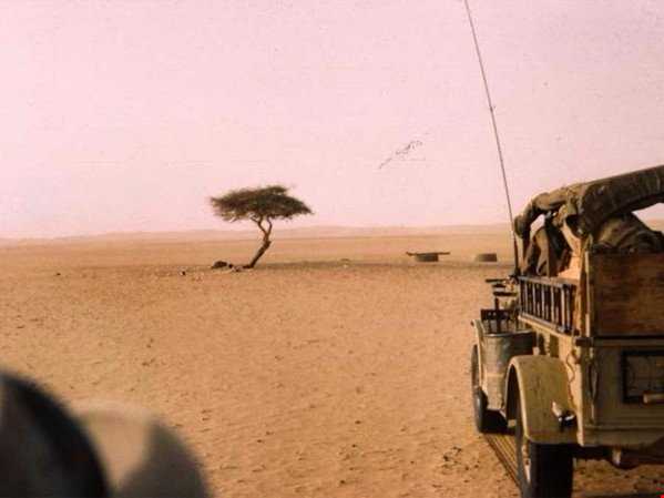 درختی تنها در صحرای نیجر که بعد از مرگش آهنین شد