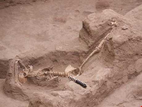 انتقال اسکلت 7500 ساله به موزه چهارفصل اراک