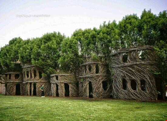 مجسمه سازی با نهال درختان