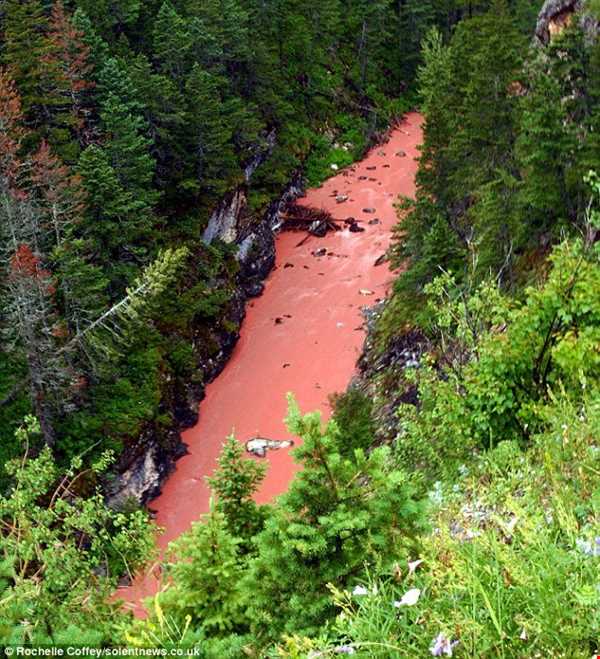 رود قرمز، یکی از عجیب‌ترین و زیباترین رودهای روی زمین