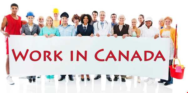 چگونه می‌توان در کانادا به عنوان یک تازه وارد استخدام شد؟