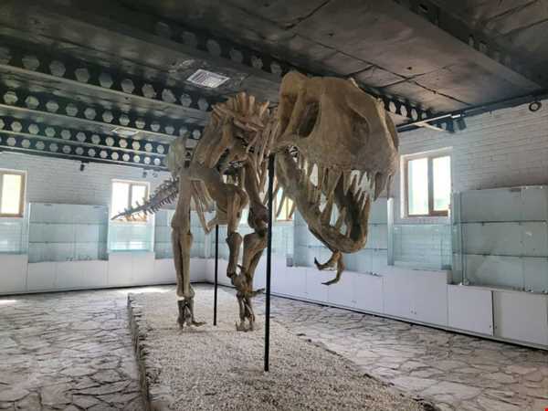 ‌پارک ژوراسیک مشهد؛ سفر به عصر دایناسورها در دل مشهد