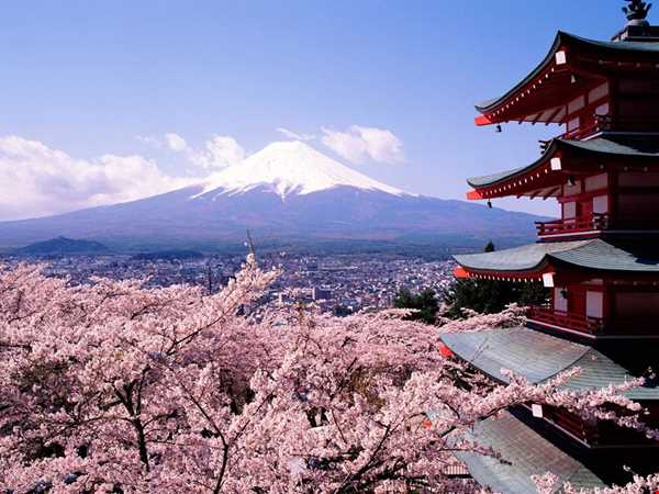 غوغایی که گردشگری ژاپن به راه انداخته