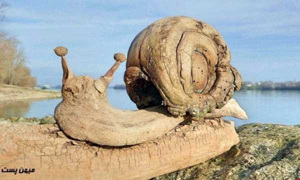 مجسمه‌های چوبی هنرمند مجارستانی در سواحل دریا