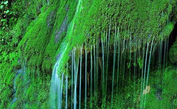 تنها آبشار خزه‌ای ایران