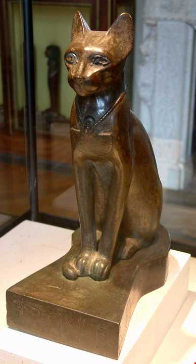جایگاه عجیب گربه‌ها در مصر باستان!