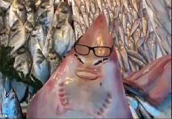 ماهی با چهره ای عجیب