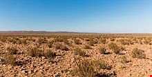 خشک‌ترین صحرا در جهان