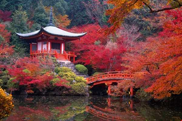 ژاپن مکان دیدنی در فصل پاییز...