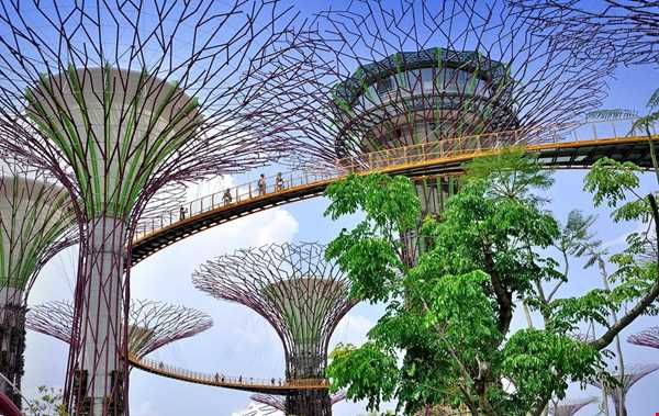 باغ تکنولوژیک و رویایی سنگاپور