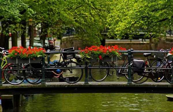 گردش ۲۴ ساعته: آمستردام با دوچرخه