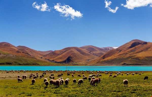 یام دراک یکی از دریاچه‌های مقدس تبت