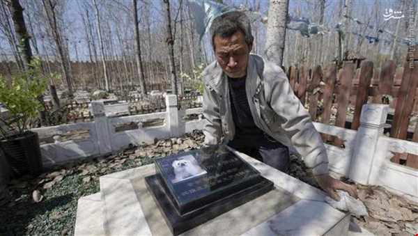 قبرستان حیوانات خانگی در چین