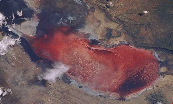 زیبایی‌های رویایی دریاچه نمک ناترون در تانزانیا