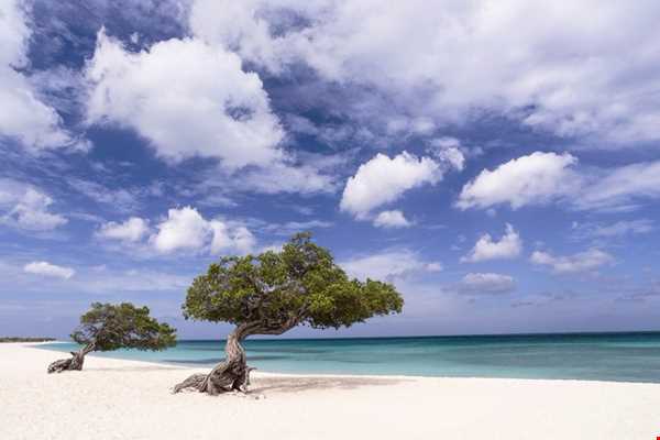 جزیره ای در دریای کارائیب