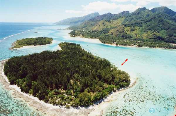 جزیره زیبای Villa Corallina تاهیئی