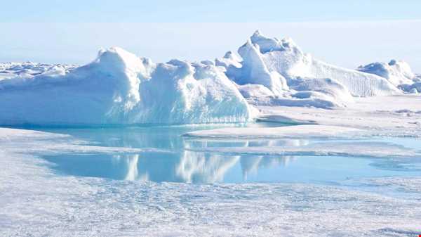 حقایقی جالب و عجیب در مورد قطب شمال