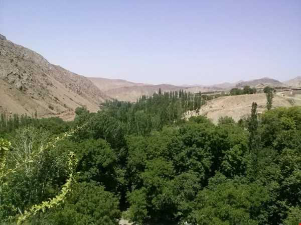 شبکه اجتماعی گردشگری تیشینه شبکه اجتماعی گردشگری تیشینه