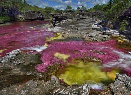 رودخانه 5 رنگ در کلمبیا