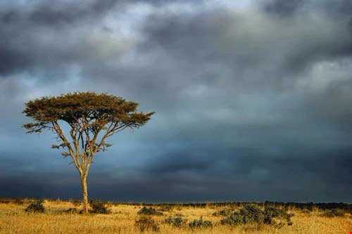 زیبایی‌های زندگی در کنیا