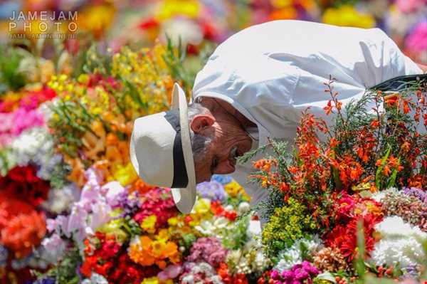 نمایشگاه گل سنتی کلمبیا