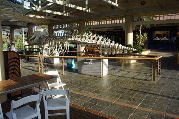 موزه روستایی سوداگران نهنگ