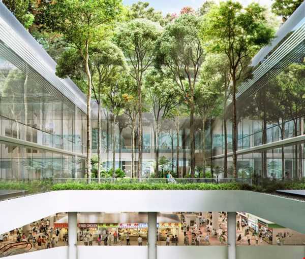 مرکز خرید جنگلی در سنگاپور