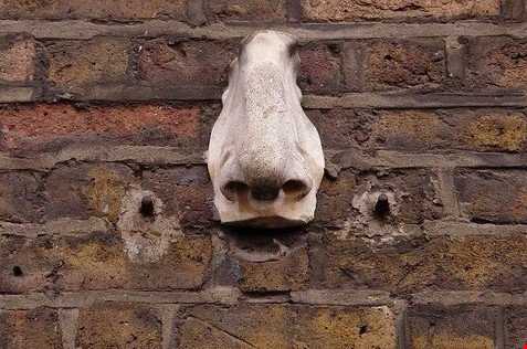 راز بینی‌های دیوارهای لندن