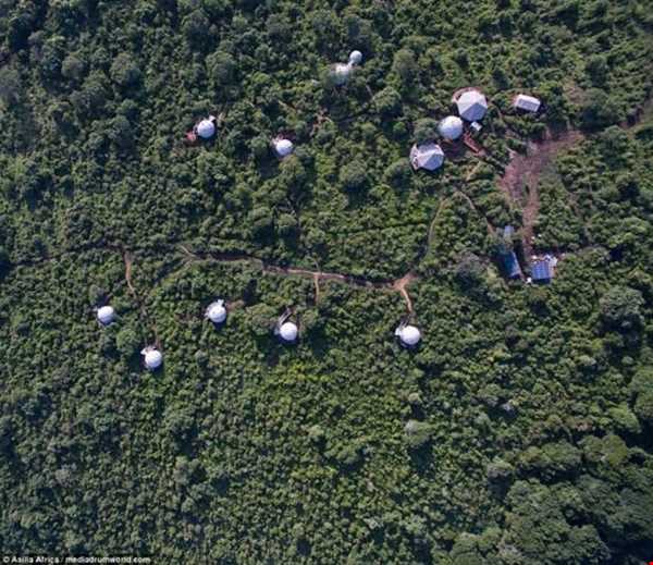اقامتگاههای گنبدی جنگل‌های آفریقا