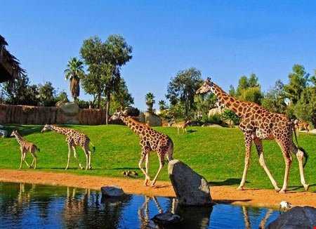 باغ وحش استثنایی در والنسیا