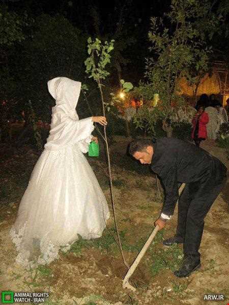 اقدام بسیار جالب این عروس و داماد اصفهانی!
