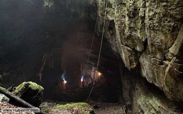 غار هوبارد ،غاری پر از خفاش