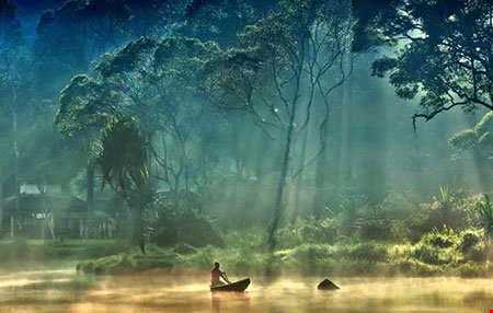 پارکی زیبا در اندونزی