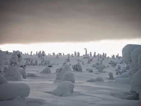 پارک ملی ریسیتونتوری فنلاند در زمستان