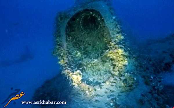 کشف زیردریایی جنگ جهانی دوم با 71 جسد!