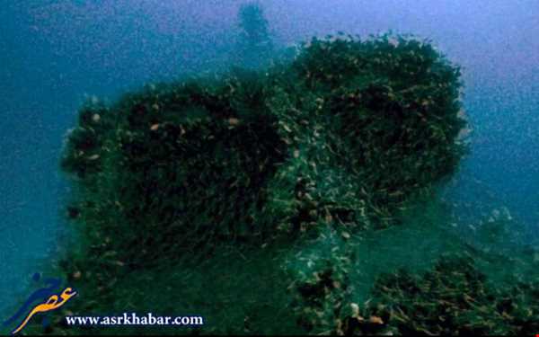 کشف زیردریایی جنگ جهانی دوم با 71 جسد!