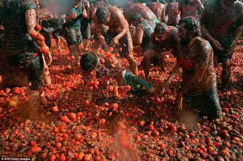 جشنواره گوجه فرنگی در کلمبیا