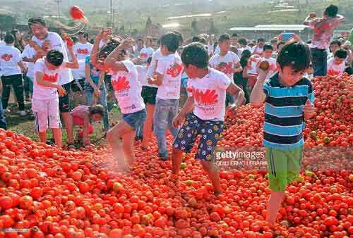 جشنواره گوجه فرنگی در کلمبیا