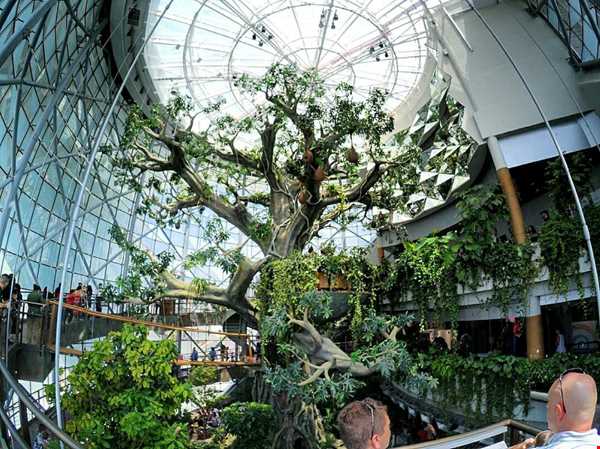 بزرگترین درخت مصنوعی جهان در دل جنگلی بارانی